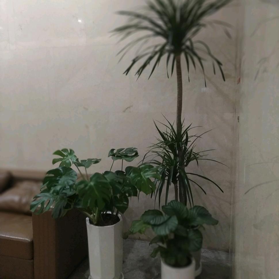 强颜欢笑的时代