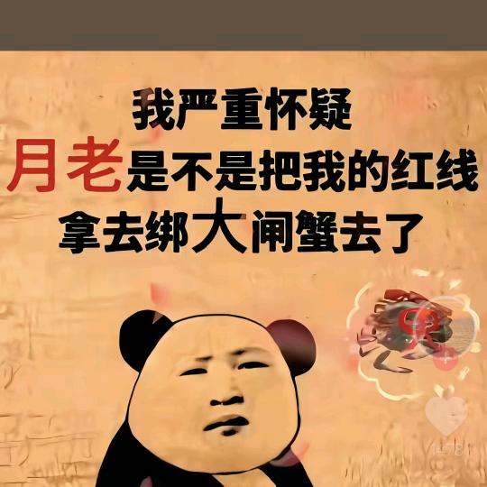 往后余生 我的世界只属于我