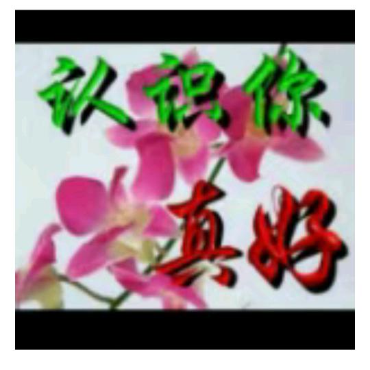 开心追剧