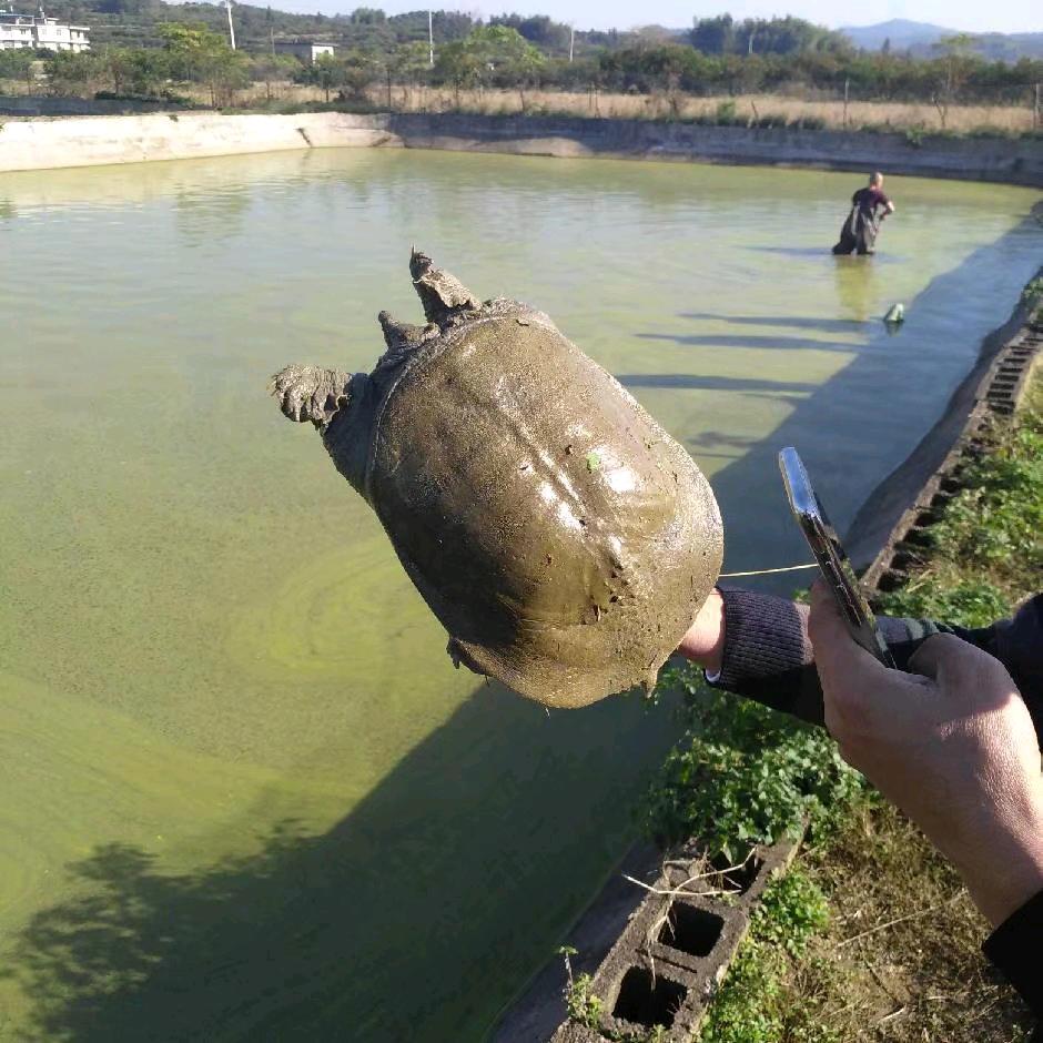 水产养殖