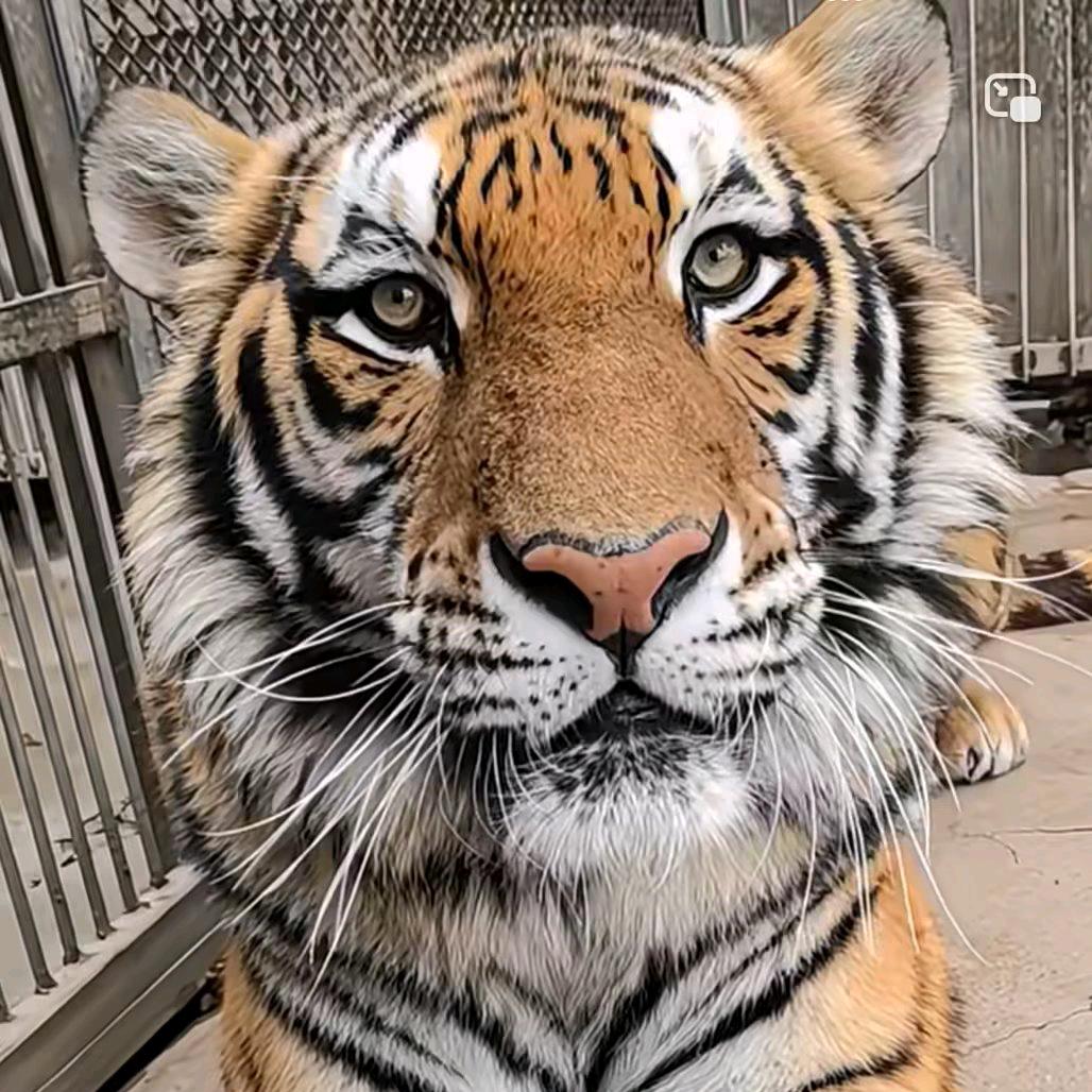 重生之-我在海岛上20星