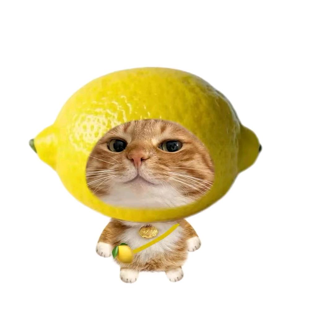 溯源