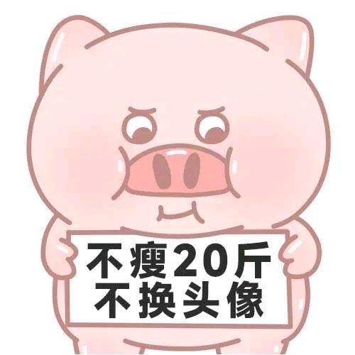 兜兜小跟班（减肥中）