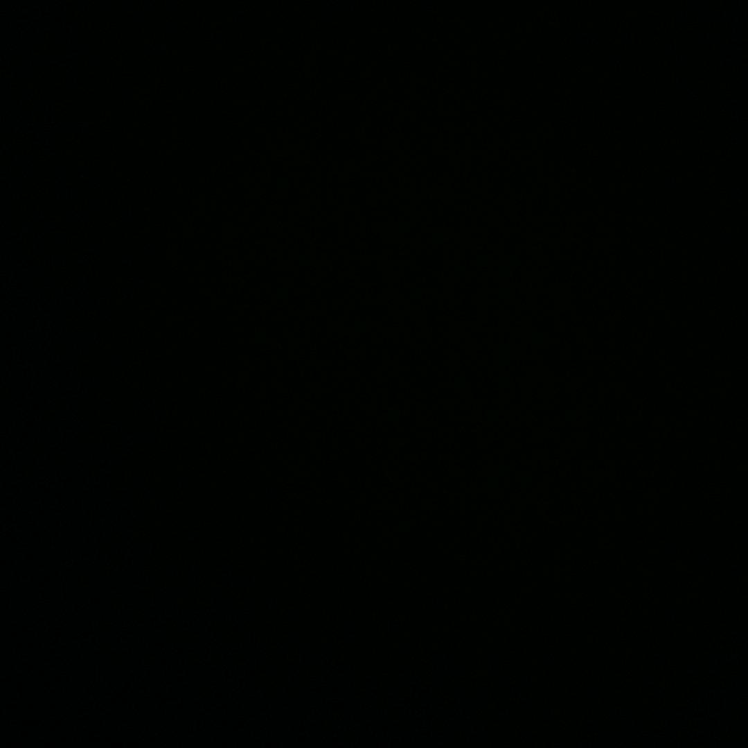 真理（国服钟馗）