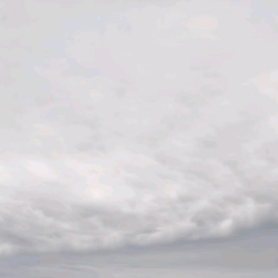 珍昔