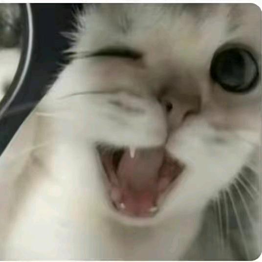 白芷