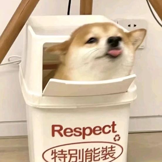 亦禾-