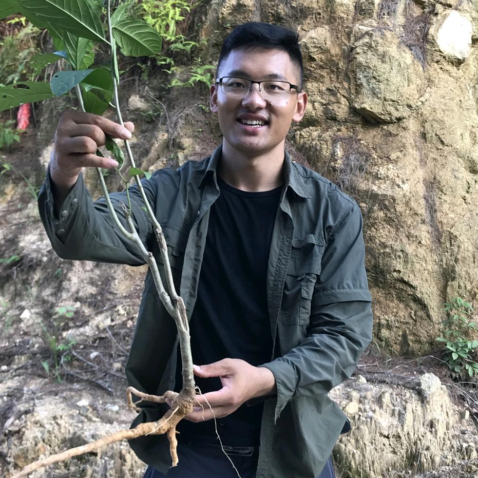 武平稻悠悠
