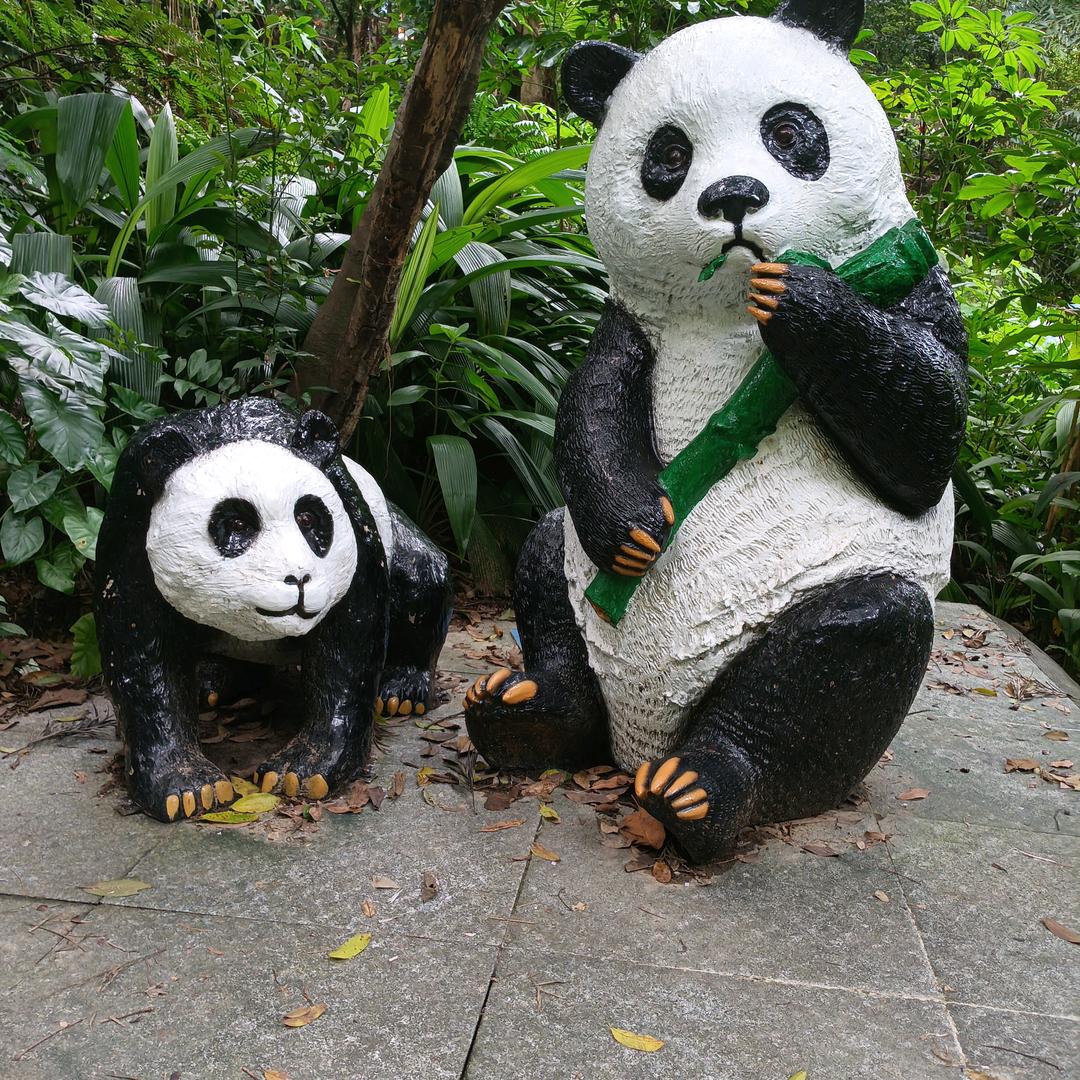 为来一定会珍惜