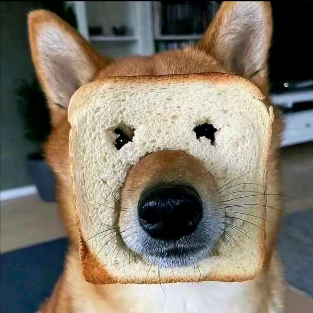 我妈妈说名字太长会有傻子跟着念