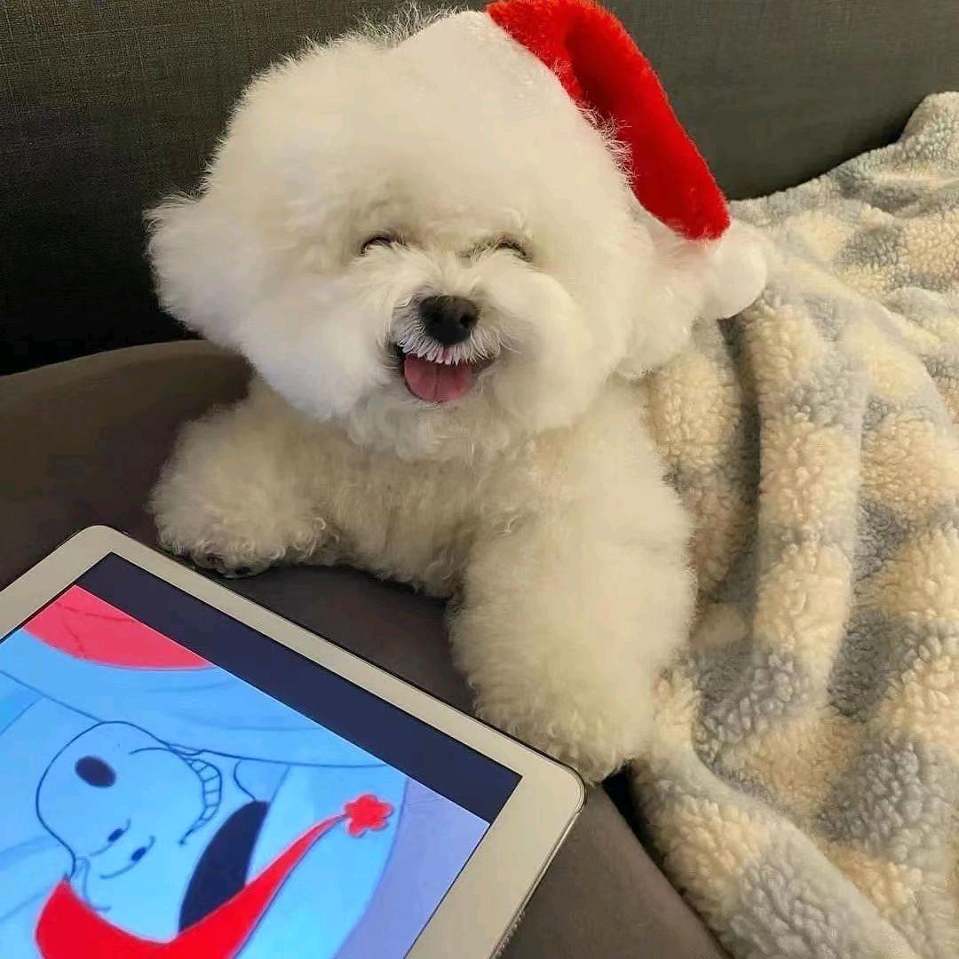 句读