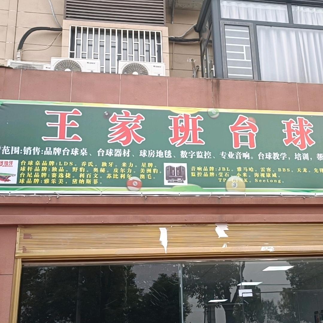王家班台球王进