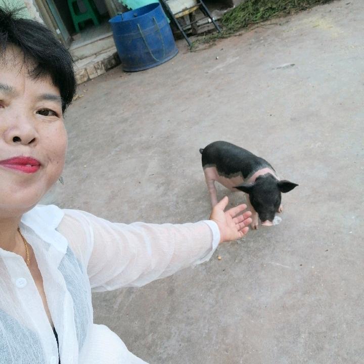 忙乐人生