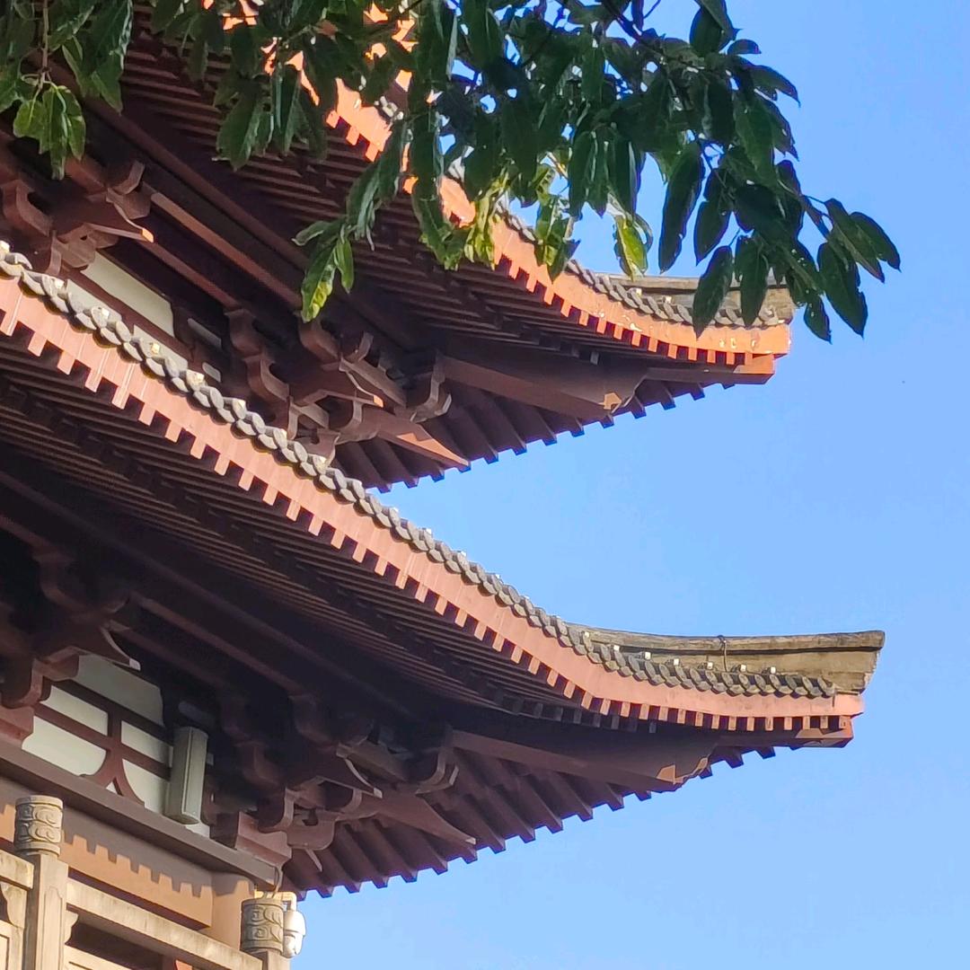 怜敌（三角洲行动）
