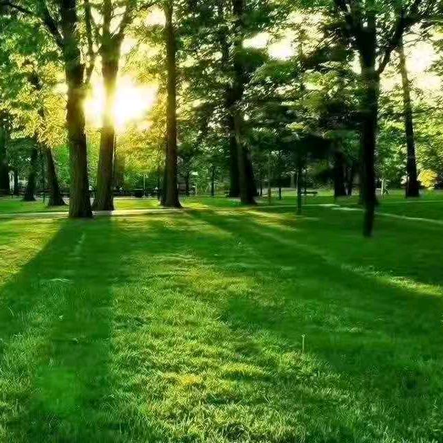 福记铜盂牛肉批发