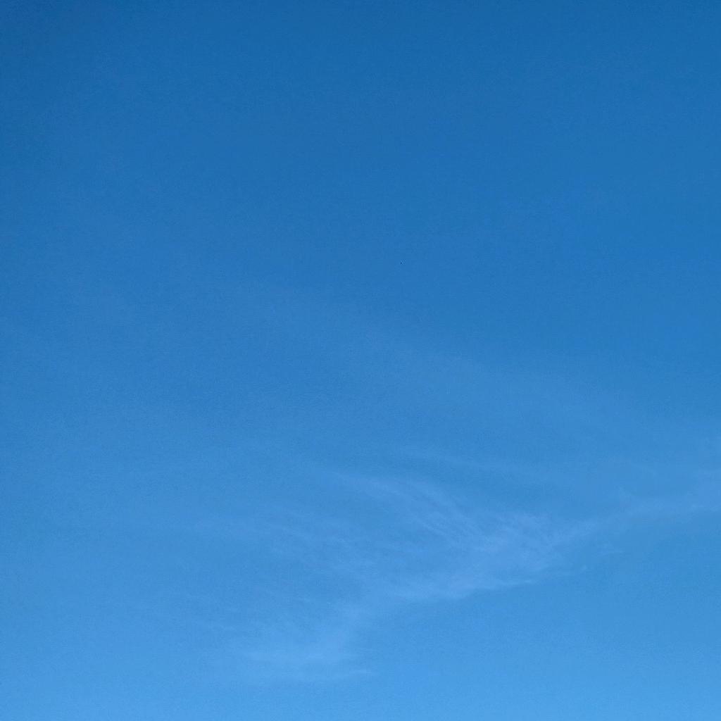 阳光好灿烂