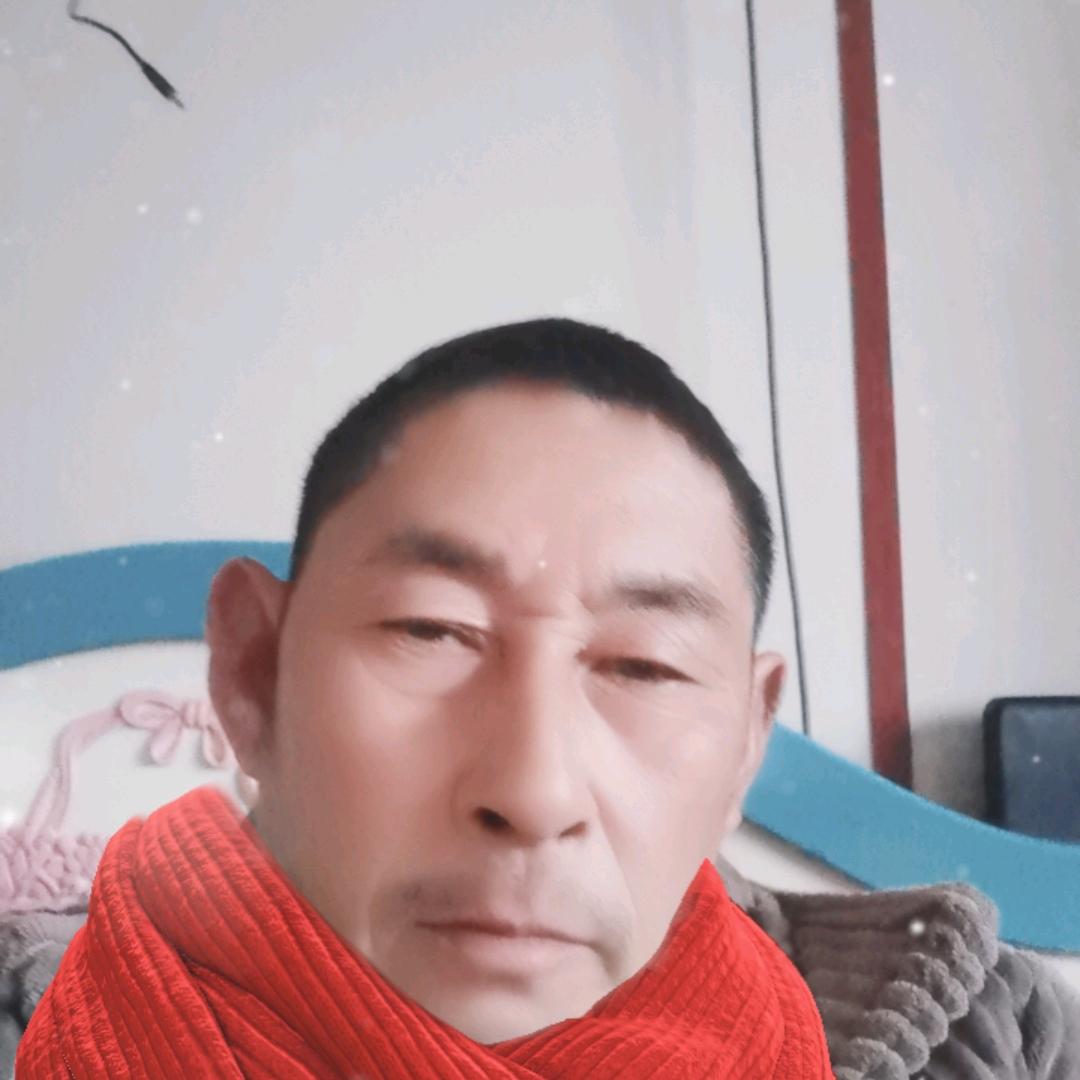 马心朝
