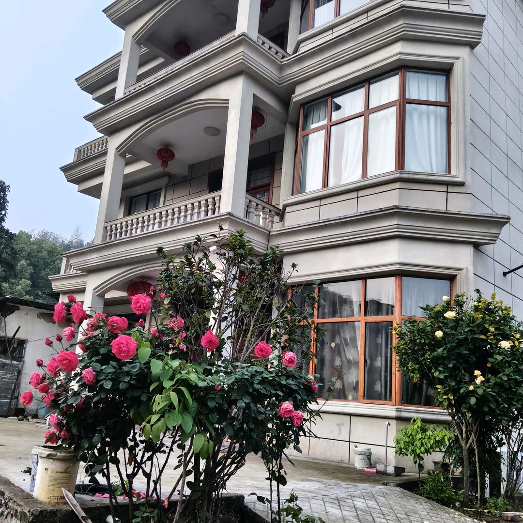 醉熟悉的木生人