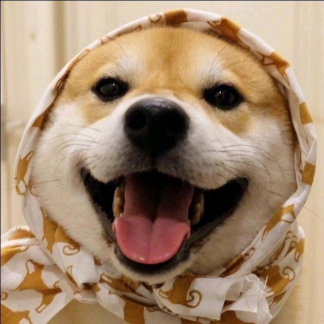 十文钱
