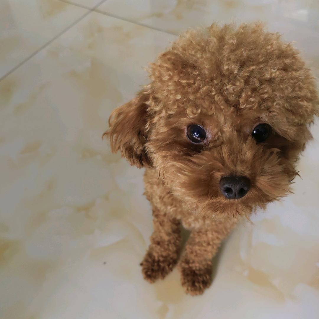 @扯淡的人生