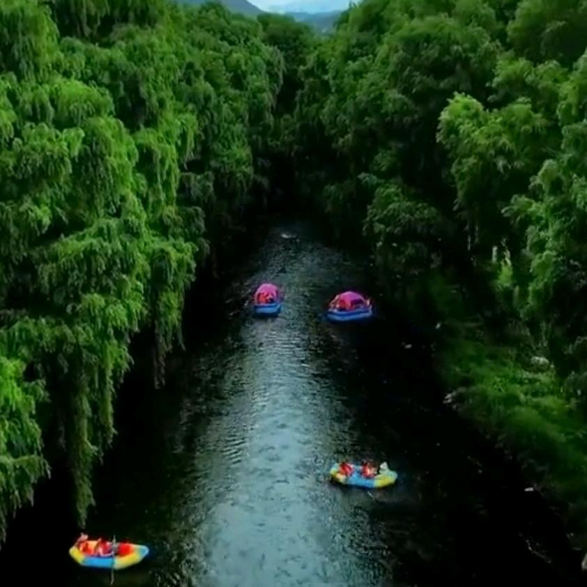 🏠朱提江畔🏚