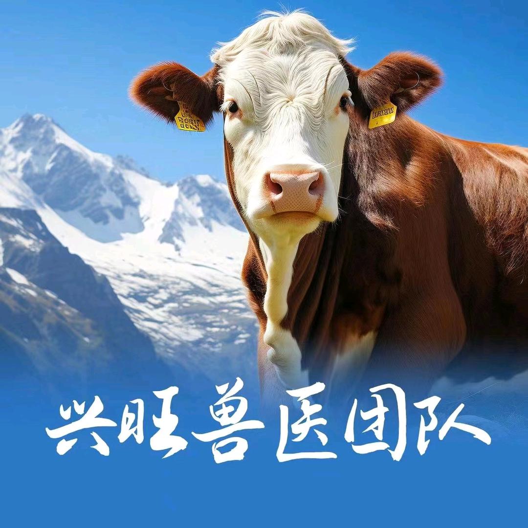 兴旺团队（沾益区王兽医）