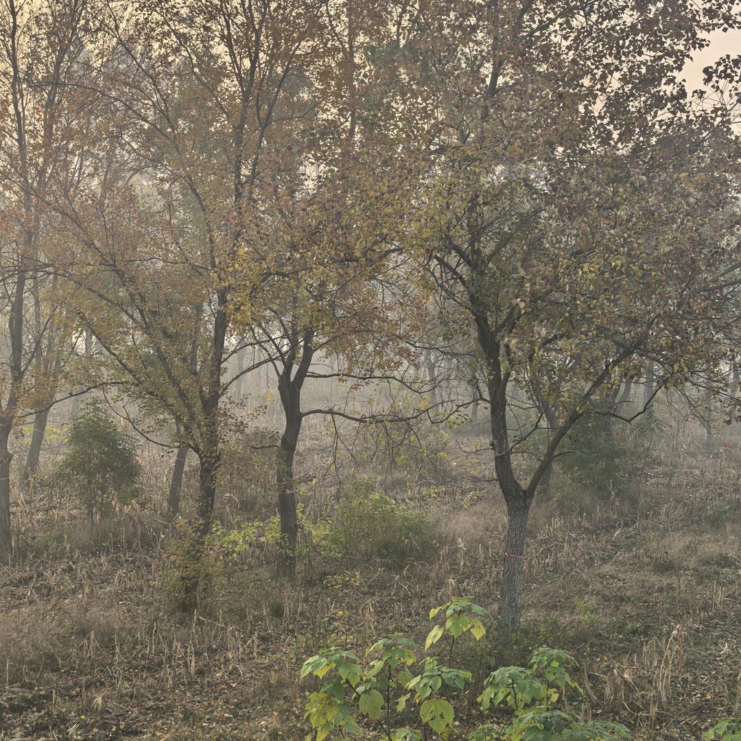 中高端汽车租赁