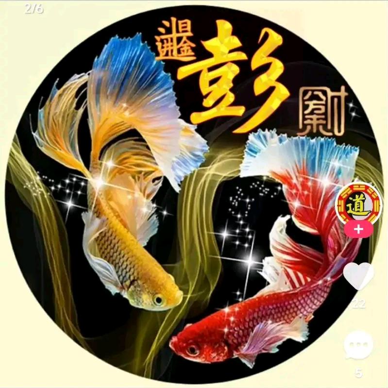 谭彭