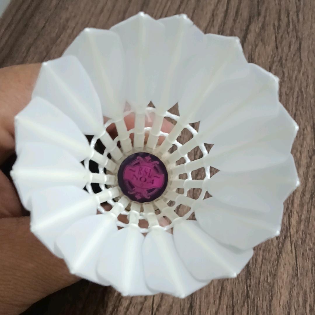 晴空飞羽（羽毛球）