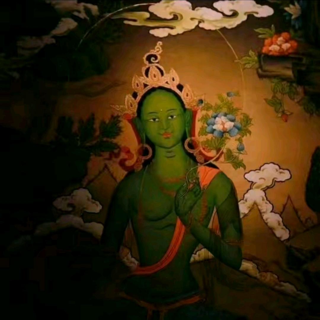 最美的遇见🌱