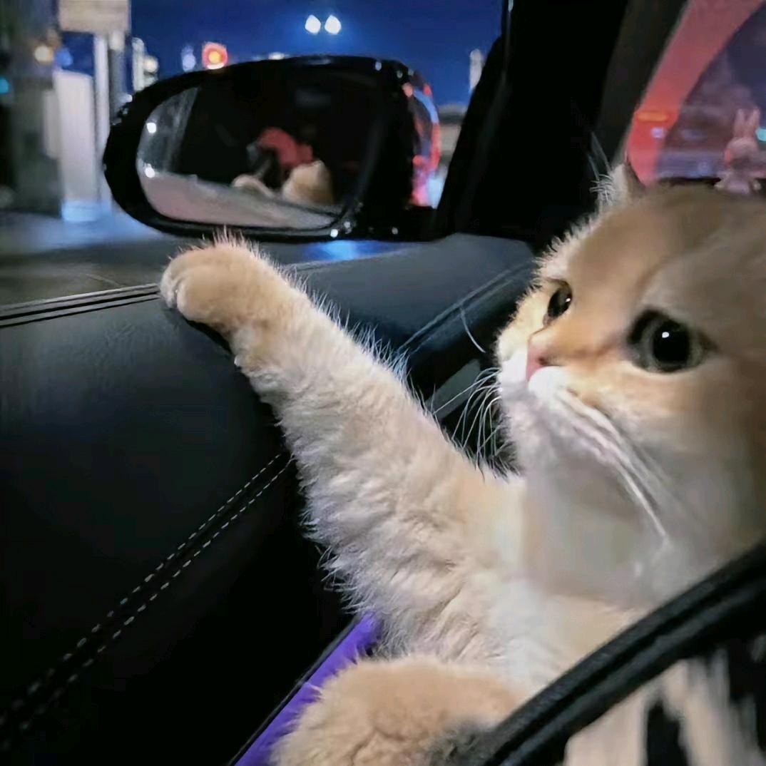 李乾丰