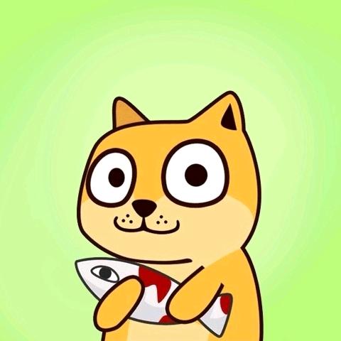龙猫DD