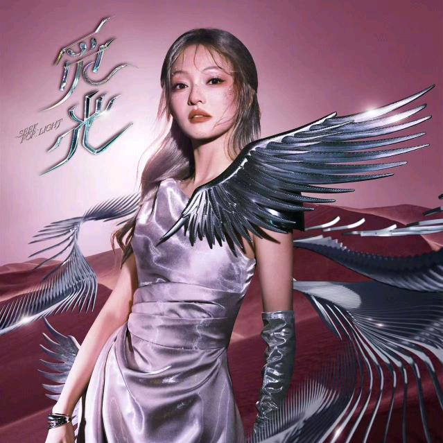 有形的翅膀