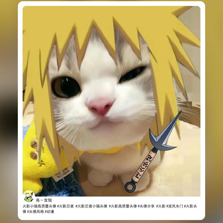 孙行者