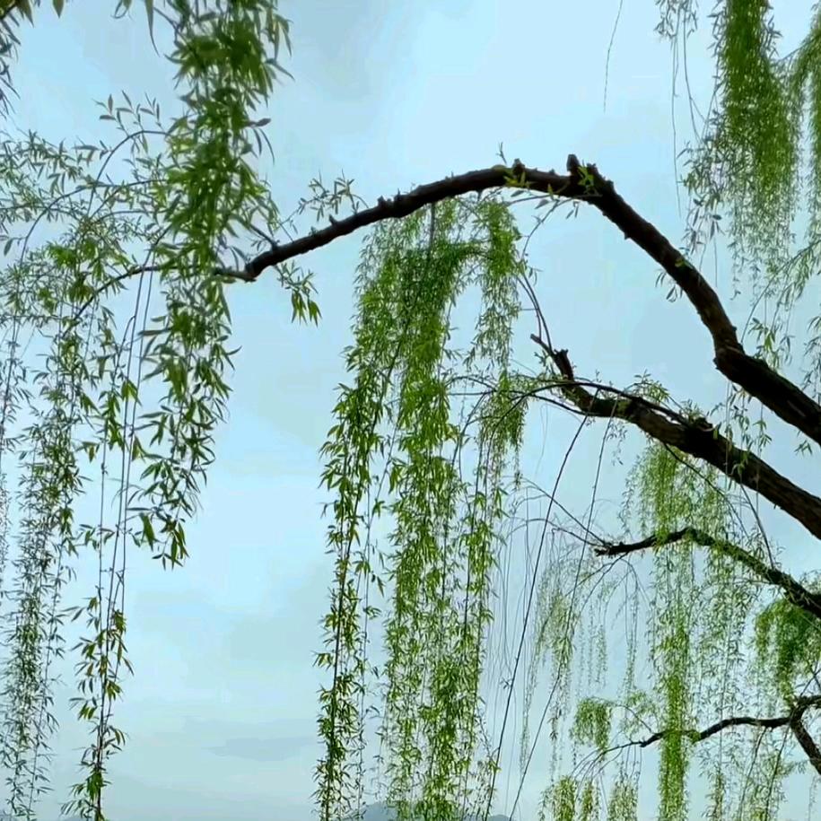 万载县举芸百货店