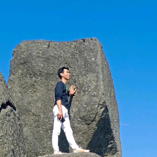 桂浦香水柠檬自种果园2000棵