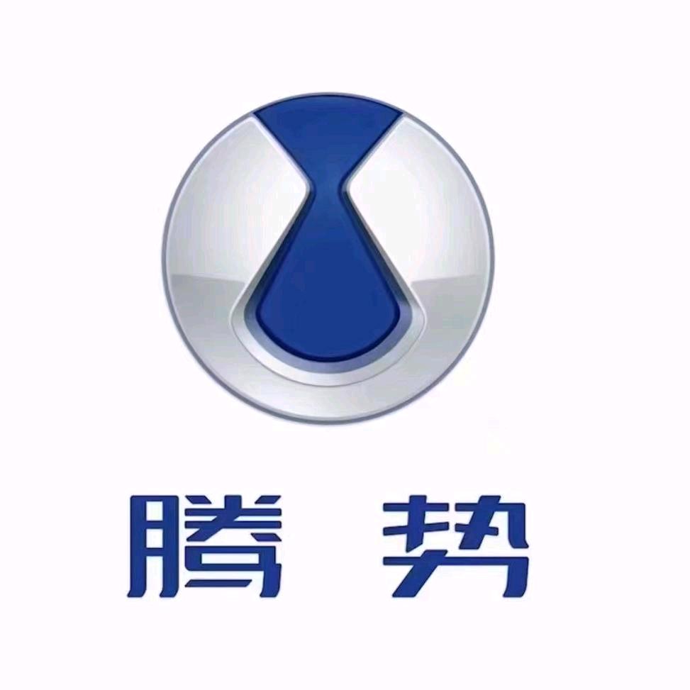 我在腾势当司机