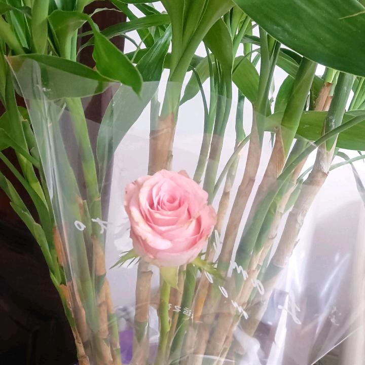 彩虹。