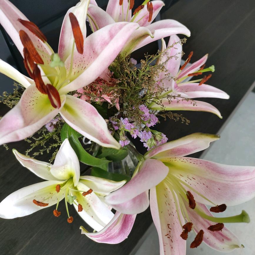 湖北钣金激光小杨