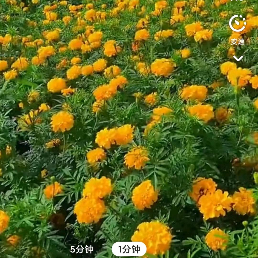 一生爱你🌷🌷🌷👩‍👩‍👦