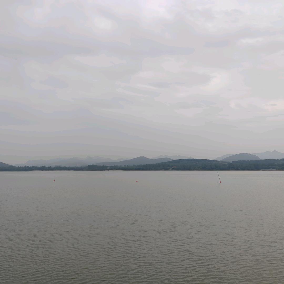 阿里胖
