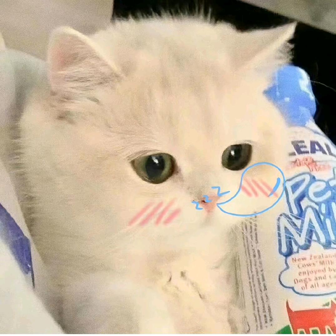 哈林✌💀