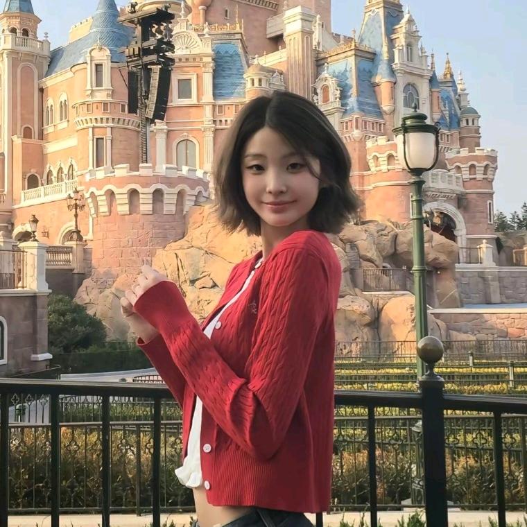 金惠敏（变美日记）