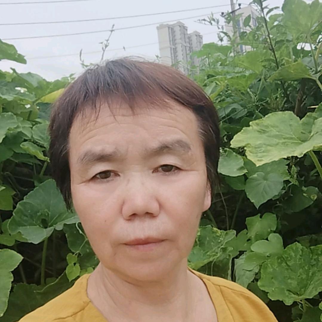 淏淏奶奶，停播(在学习)