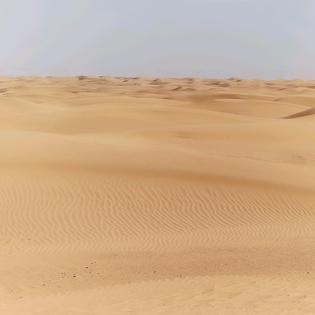 ザ人走茶凉°