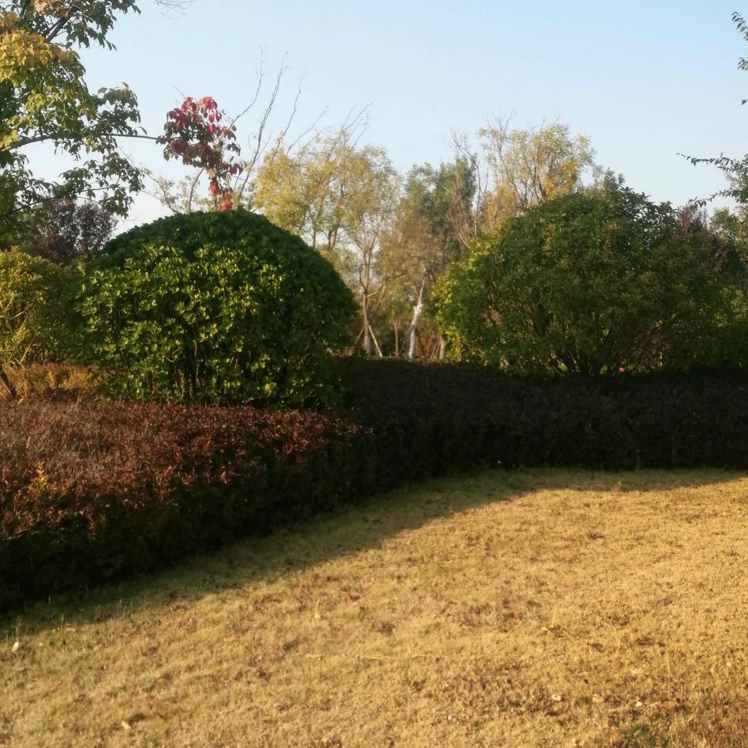 琢梦天涯