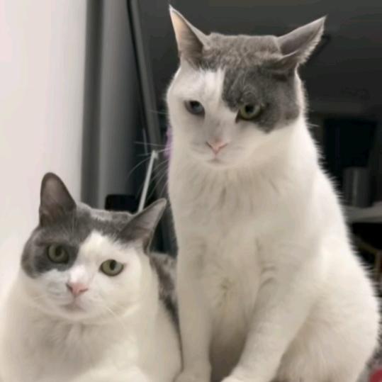 @长幼学长林皓宸