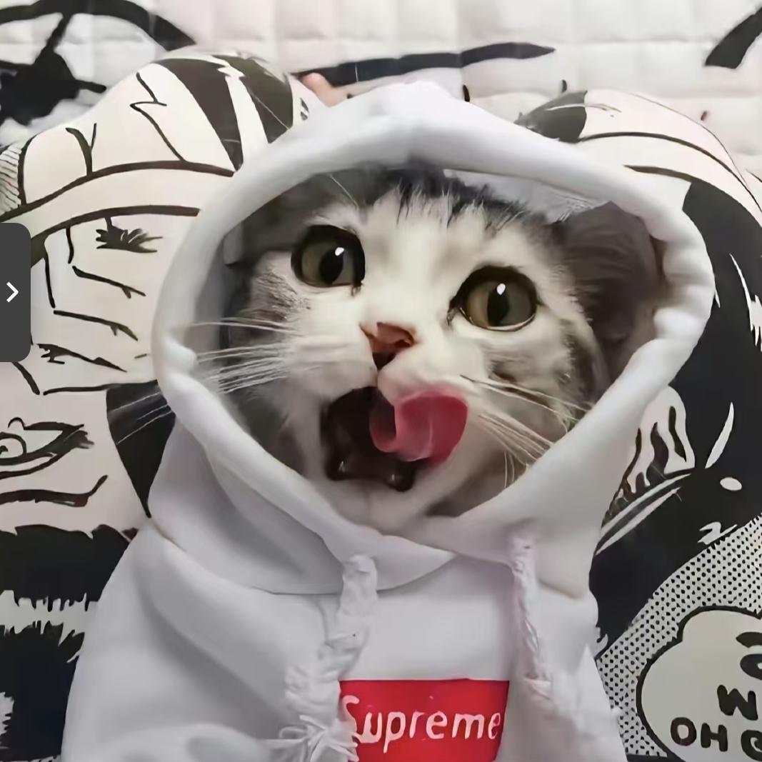 宇