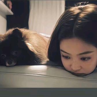 养只猫`