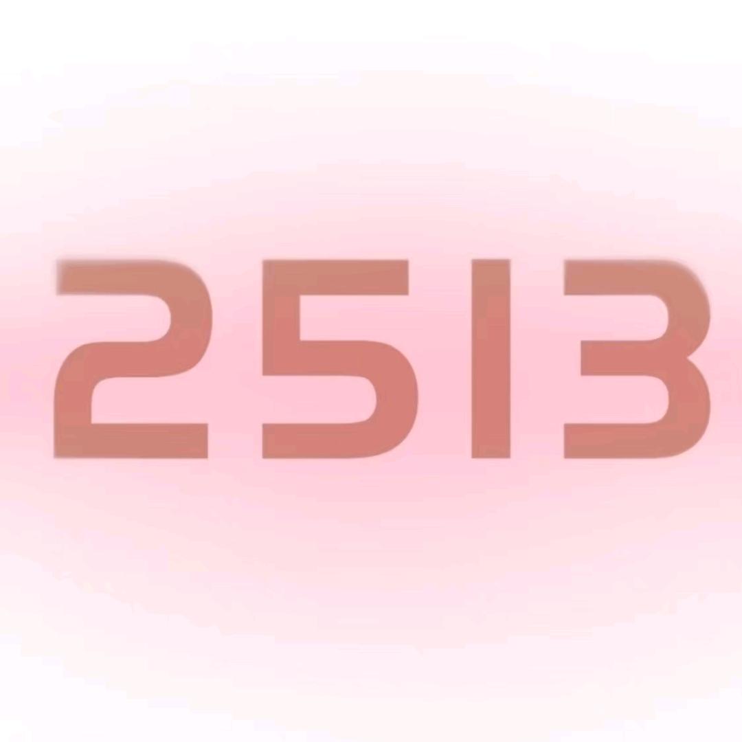 2513化妆品企业店
